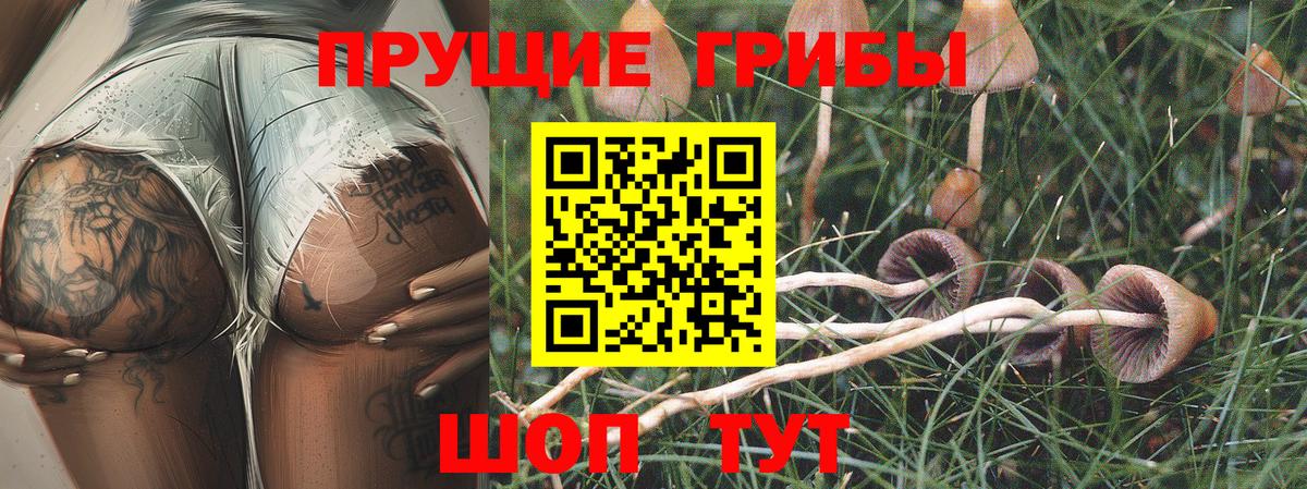 Галлюциногенные грибы прущие грибы Фурманов