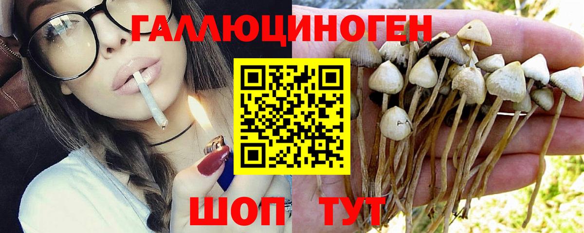Псилоцибиновые грибы прущие грибы  Вход с VPN  Фурманов 